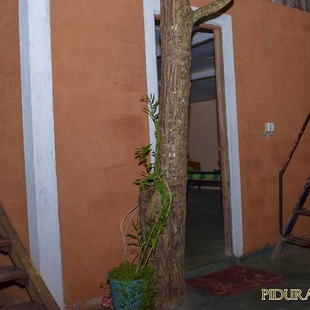 Pidurangala Hostel Sigiriya Buitenkant foto