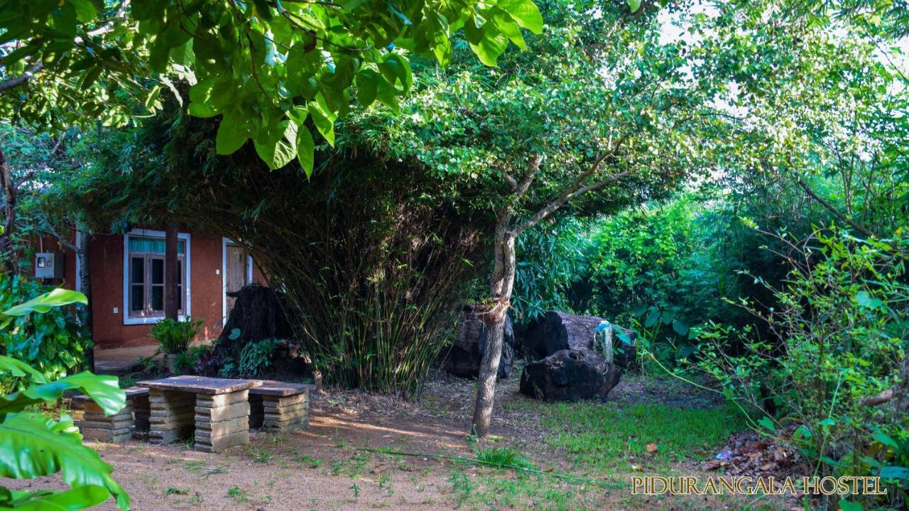 Pidurangala Hostel Sigiriya Buitenkant foto