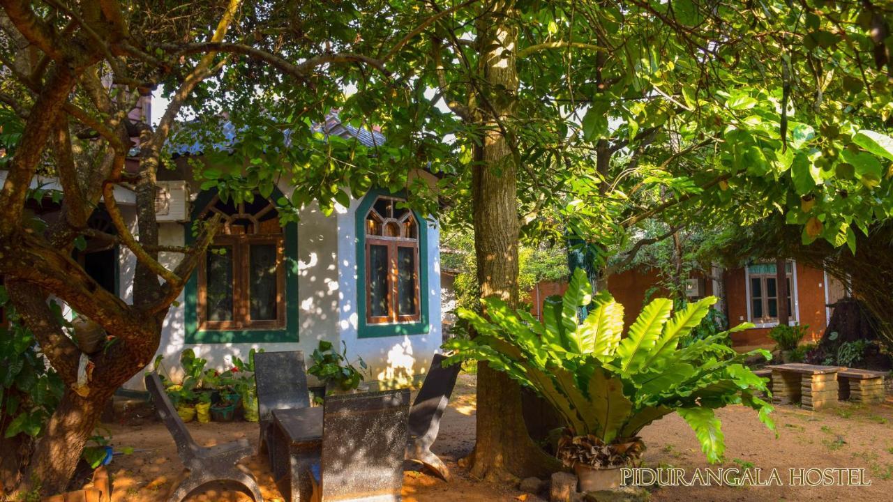 Pidurangala Hostel Sigiriya Buitenkant foto