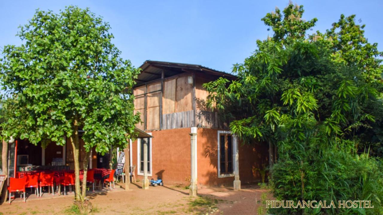 Pidurangala Hostel Sigiriya Buitenkant foto