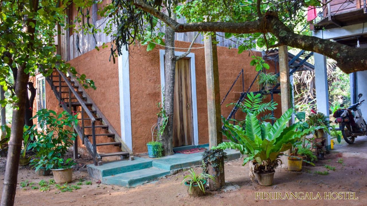 Pidurangala Hostel Sigiriya Buitenkant foto