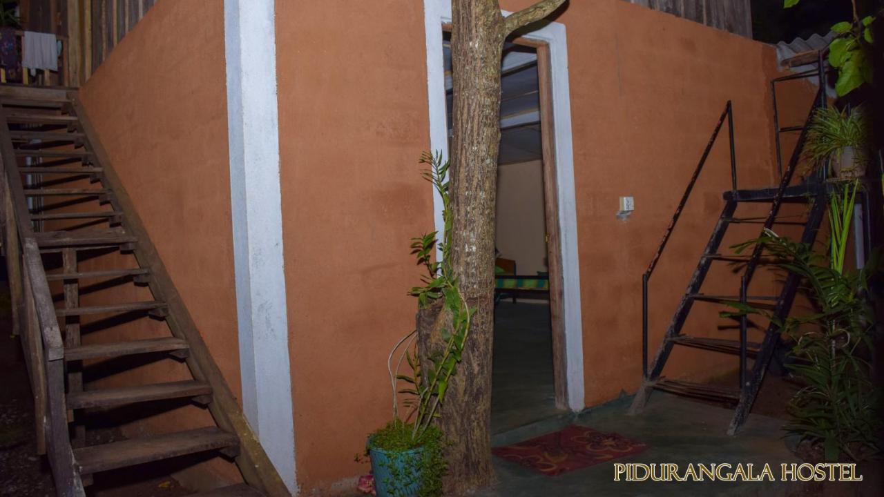 Pidurangala Hostel Sigiriya Buitenkant foto
