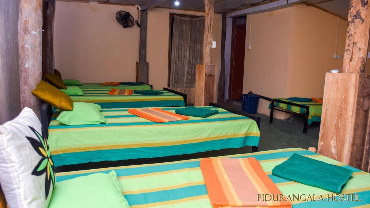 Pidurangala Hostel Sigiriya Buitenkant foto